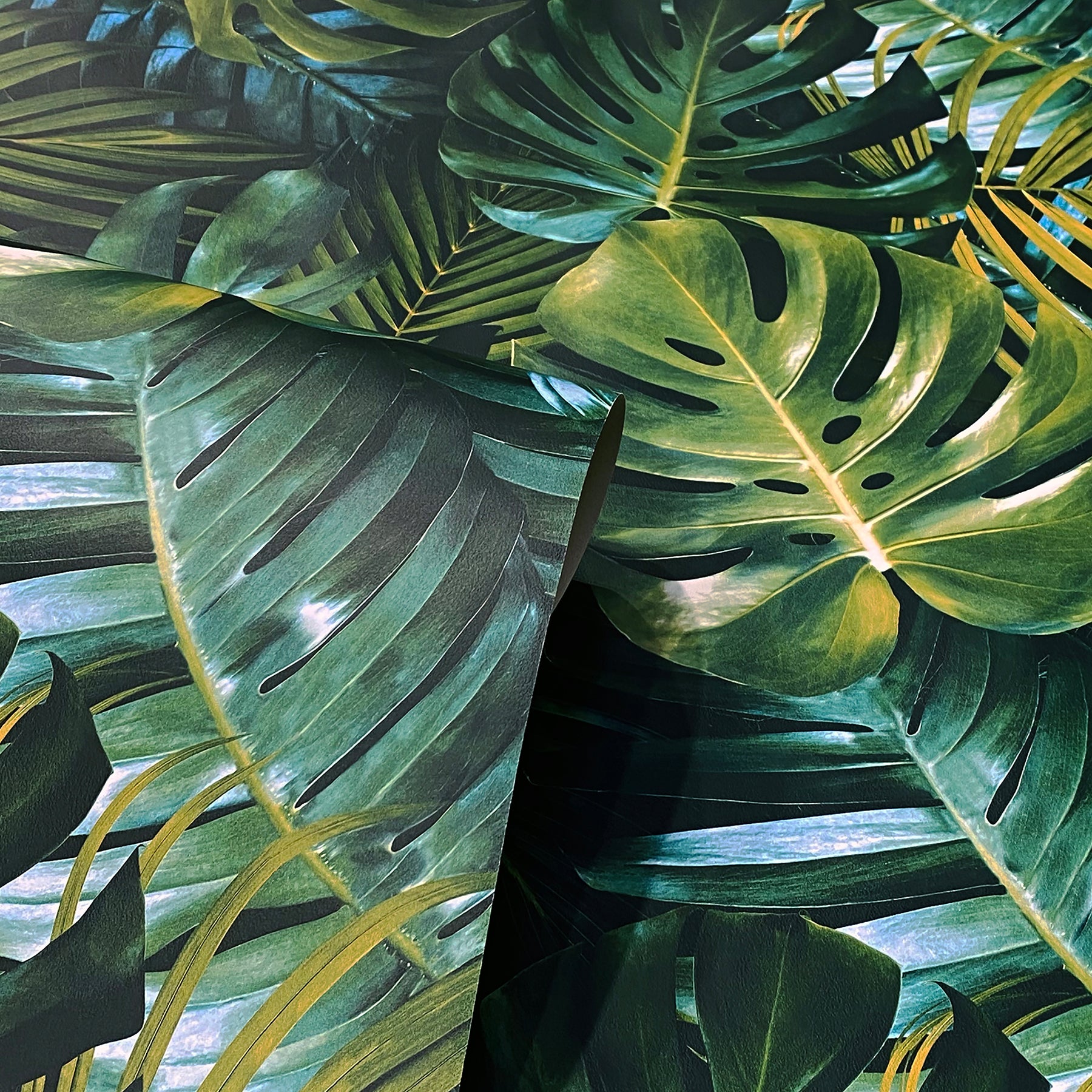 AH924108 Harlynn Green Monstera Wallpaper – wallcoveringsmart