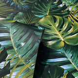 AH924108 Harlynn Green Monstera Wallpaper