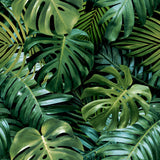AH924108 Harlynn Green Monstera Wallpaper