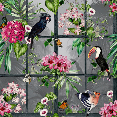 AH924408 Dorothea Multicolor Tropical Birds Wallpaper