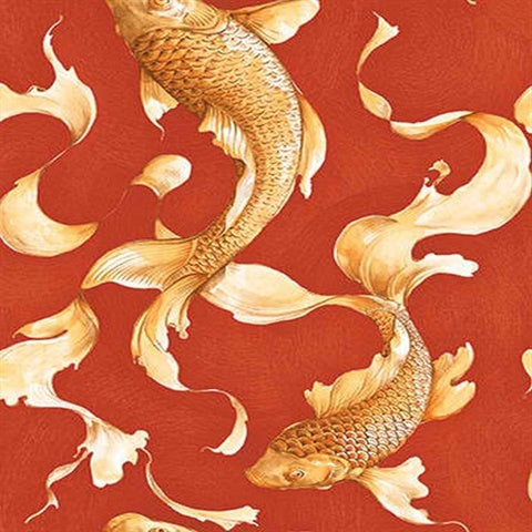 AI40601 Koi Fish Wallpaper