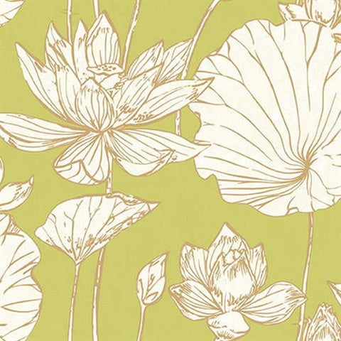 AI42304 Lotus Floral Wallpaper