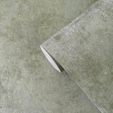 AM22009-3 Metallic Plaster Wallpaper
