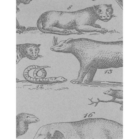 AMW10001.11 Ark Cloud Wallpaper