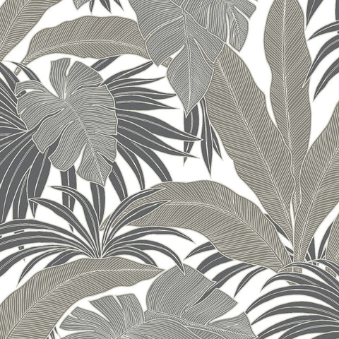 AN70307 Sabryna Fog Wallpaper 