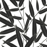 AN70800 Amani Silhouette Wallpaper