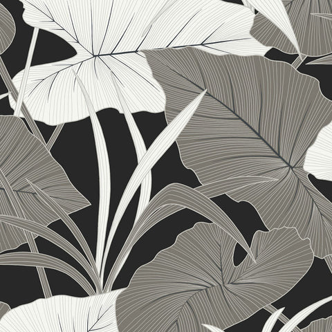 AN71200 Antilles Onyx Wallpaper