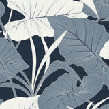 AN71202 Antilles Oceanic Wallpaper 