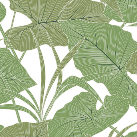 AN71204 Antilles Jade Wallpaper