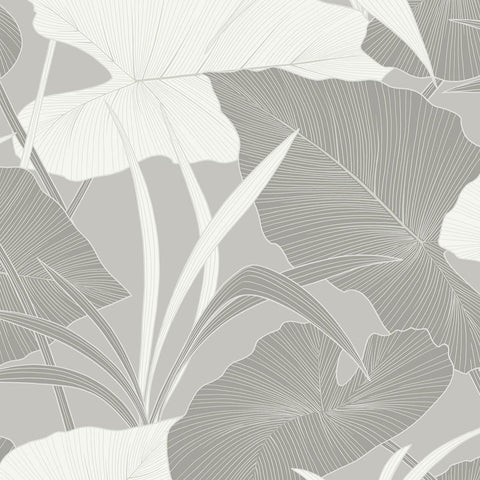 AN71208 Antilles Misty Wallpaper