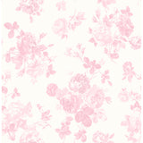 AST4101 Everblooming Rosettes Pink Cabbage Rose Bouquets Wallpaper