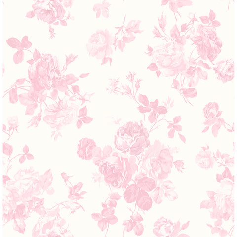 AST4101 Everblooming Rosettes Pink Cabbage Rose Bouquets Wallpaper
