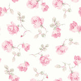 AST6084 Ribbon Rosa Chateau Rose Loose Roses Wallpaper