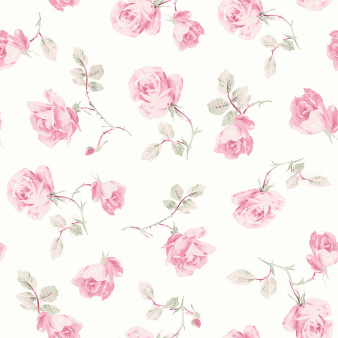 AST6084 Ribbon Rosa Chateau Rose Loose Roses Wallpaper