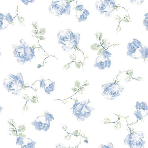 AST6085 Ribbon Rosa French Blue Loose Roses Wallpaper