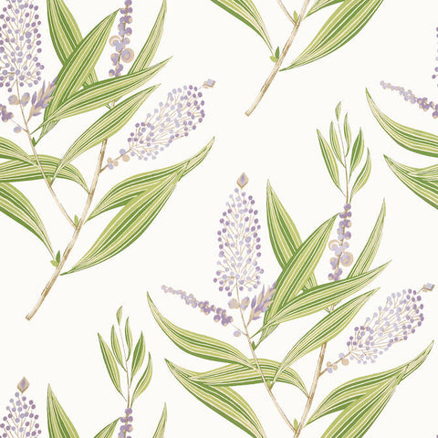AT23134 Winter Bud Lavender Wallpaper