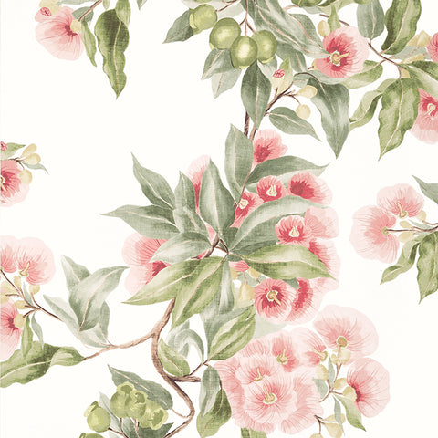 AT24550 Camellia Garden Coral Wallpaper