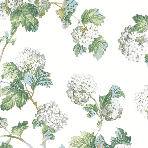 AT57849 Sussex Hydrangea White Green Wallpaper