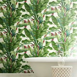 AT7068 Banana Leaf Sure Strip Wallpaper