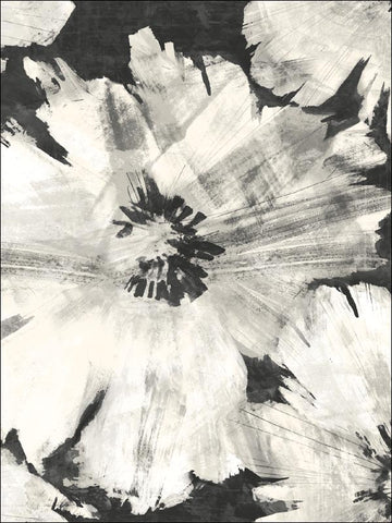 AV50000 Curie Floral Black and White Wallpaper