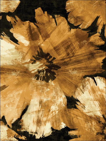 AV50005 Curie Floral Black and Goldenrod Wallpaper