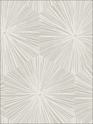 AV51100 Chadwick Starburst White and Silver Wallpaper