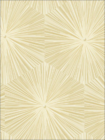 AV51105 Chadwick Starburst Beige Wallpaper