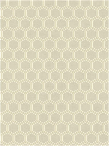 AV51208 Curie Geo Taupe Wallpaper