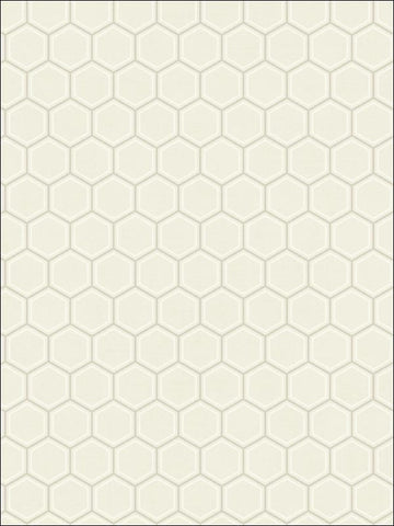 AV51210 Curie Geo White and Silver Wallpaper