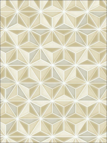 AV51405 Einstein Geo Beige Wallpaper