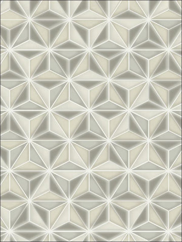 AV51408 Einstein Geo Grey Wallpaper