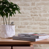 BB51129 Rocky Retreat Motif Beige Wallpaper