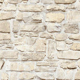 BB51131 Stone Symphony Motif Beige Wallpaper