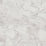 BB51139 Petrified Paradise Motif White Wallpaper