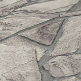 BB51140 Petrified Paradise Motif Silver Grey Wallpaper