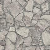 BB51140 Petrified Paradise Motif Silver Grey Wallpaper
