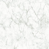 BB51164 Gentle Beauty Motif Silver Grey Wallpaper