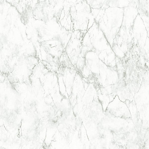 BB51164 Gentle Beauty Motif Silver Grey Wallpaper