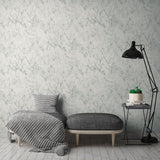 BB51165 Gentle Beauty Motif Silver Grey Wallpaper