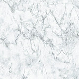 BB51165 Gentle Beauty Motif Silver Grey Wallpaper