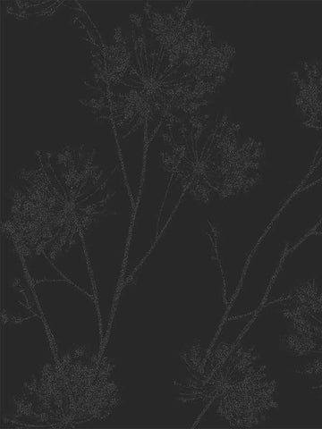 BD50220 Wild Grass Midnight Galaxy Wallpaper
