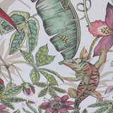 BL1702 Multicolor white Jungle Tropical flower rainforest leaves frogs lizard Wallpaper
