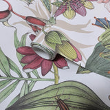 BL1702 Multicolor white Jungle Tropical flower rainforest leaves frogs lizard Wallpaper
