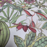 BL1702 Multicolor white Jungle Tropical flower rainforest leaves frogs lizard Wallpaper
