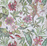 BL1702 Multicolor white Jungle Tropical flower rainforest leaves frogs lizard Wallpaper
