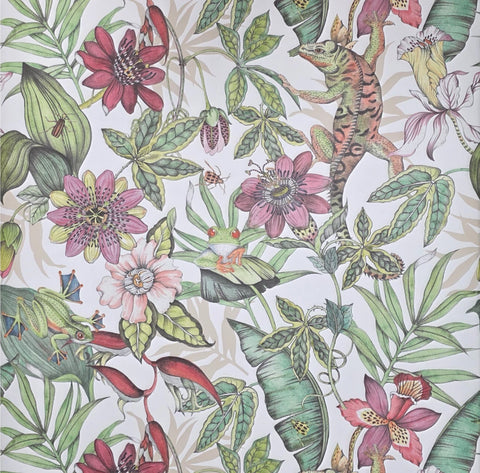 BL1702 Multicolor white Jungle Tropical flower rainforest leaves frogs lizard Wallpaper
