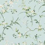 BL1742 Blossom Branches Spa Blue Wallpaper