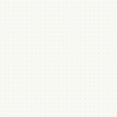 BL70900 Wicker Screen Print with Raised Inks Wallpaper 