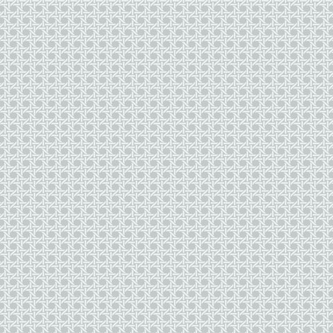 BL70908 Wicker Screen Print with Raised Inks Wallpaper