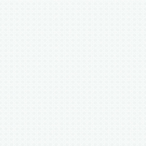 BL70917 Wicker Screen Print with Raised Inks Wallpaper